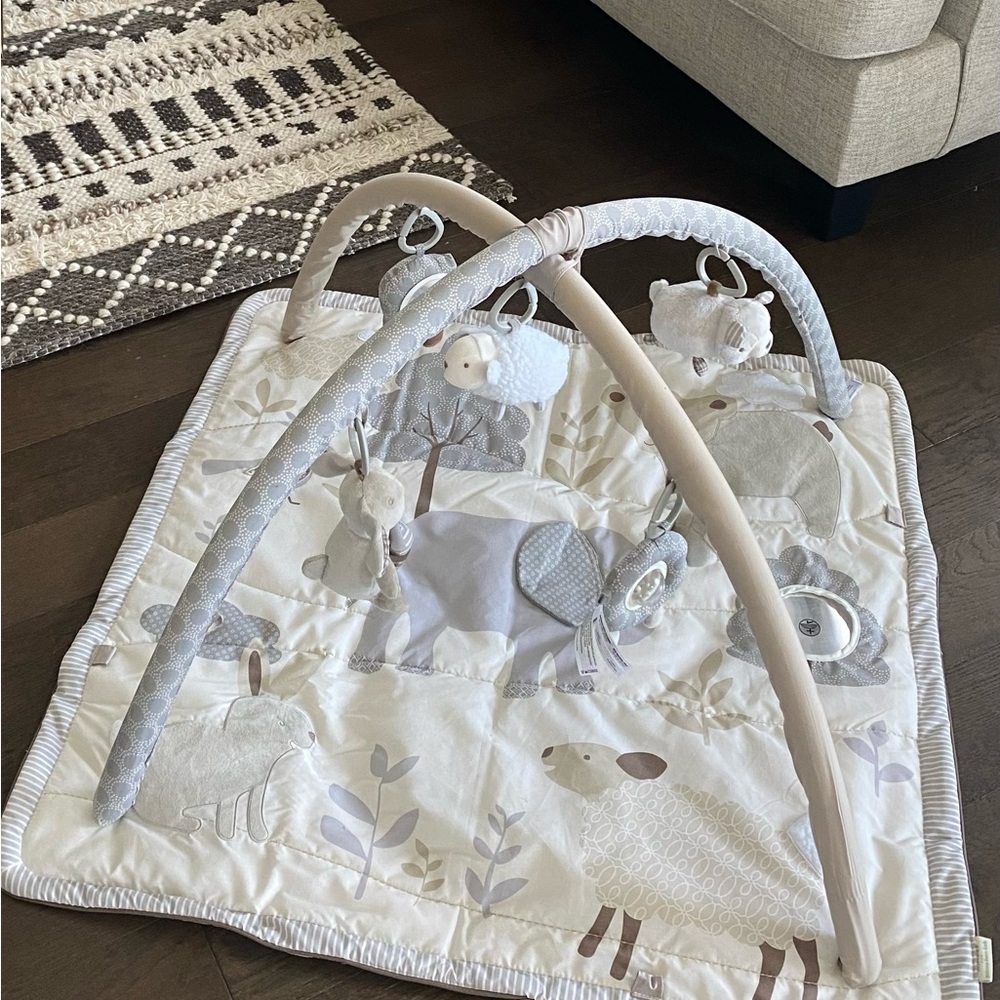Skip Hop x Pottery Barn Baby Activity Gym